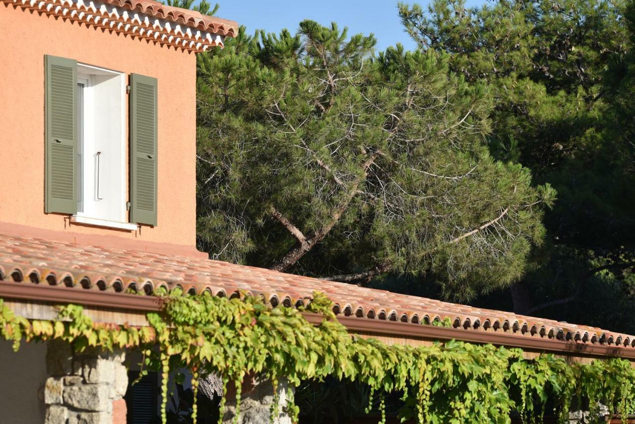Hotel Les Lentisques Cargèse Kültér fotó